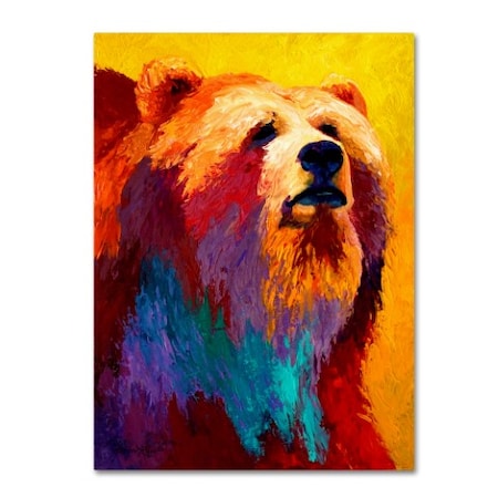 Marion Rose 'Ab Grizz III' Canvas Art,14x19